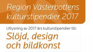 region vasterbottens kulturstipendier 2017